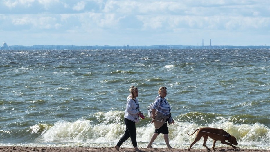    Пляж Курортном районе Петербурга. Автор фото: Тихонов Михаил/"ДП"