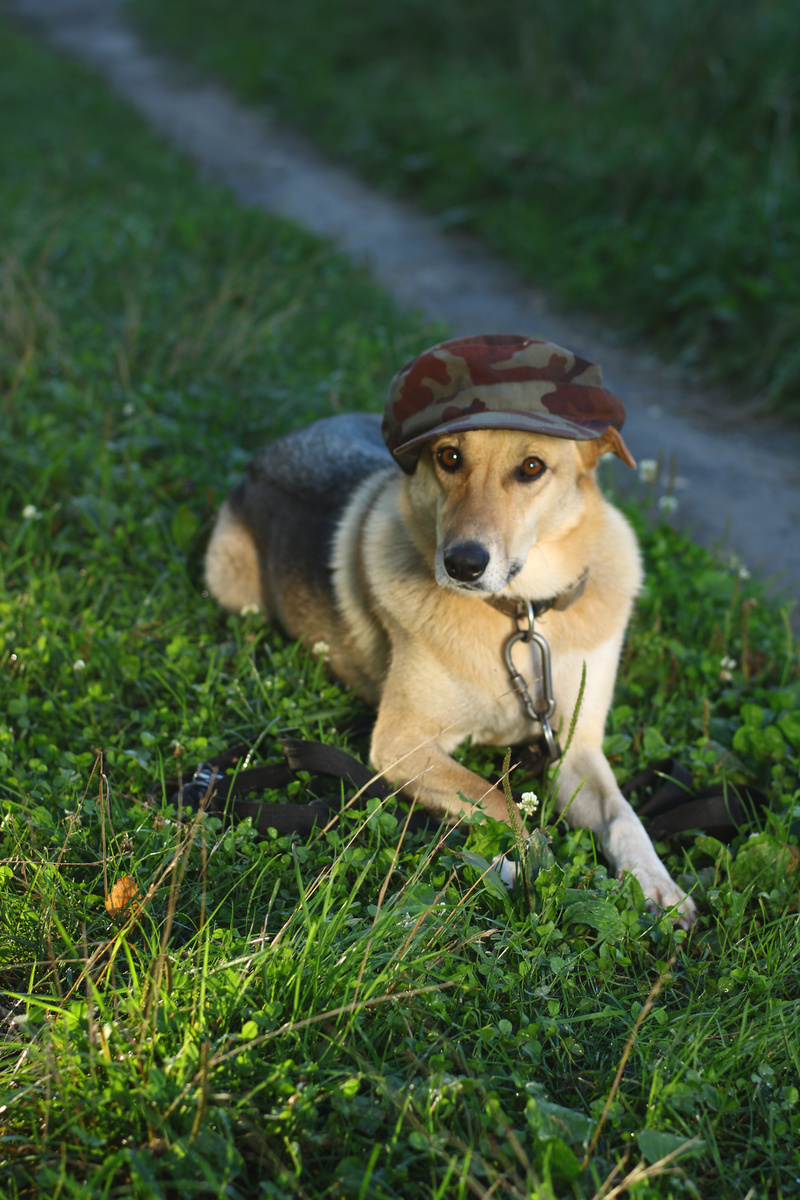 Фото автора данной статьи. 
