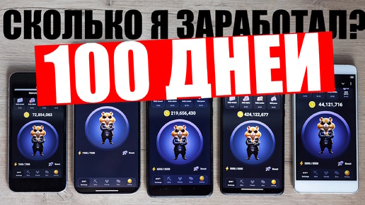 Сколько я заработал на Хомяке за 100 дней ?