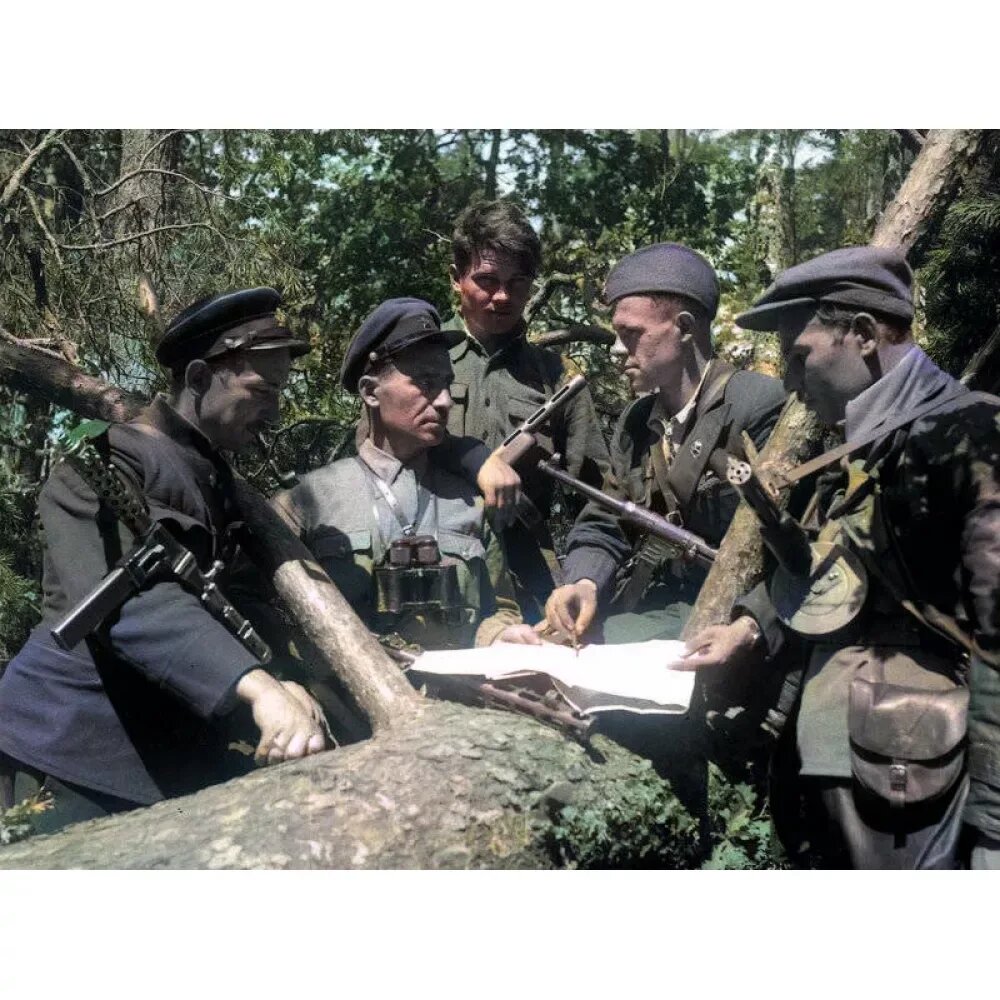 Партизанен...