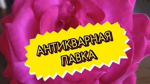 АНТИКВАРНАЯ ЛАВКА🕸 АНТИКВАРНЫЙ И ВИНТАЖНЫЙ ФАРФОР