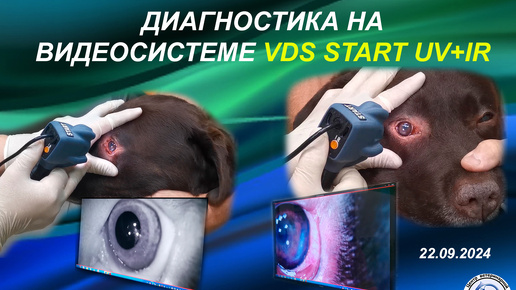 Офтальмологическая диагностика на видеосистеме VDS START UV+IR