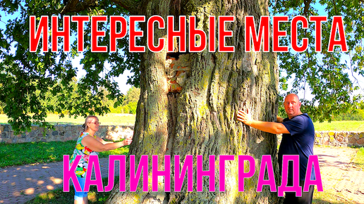 Descargar video: Интересные места Калининграда