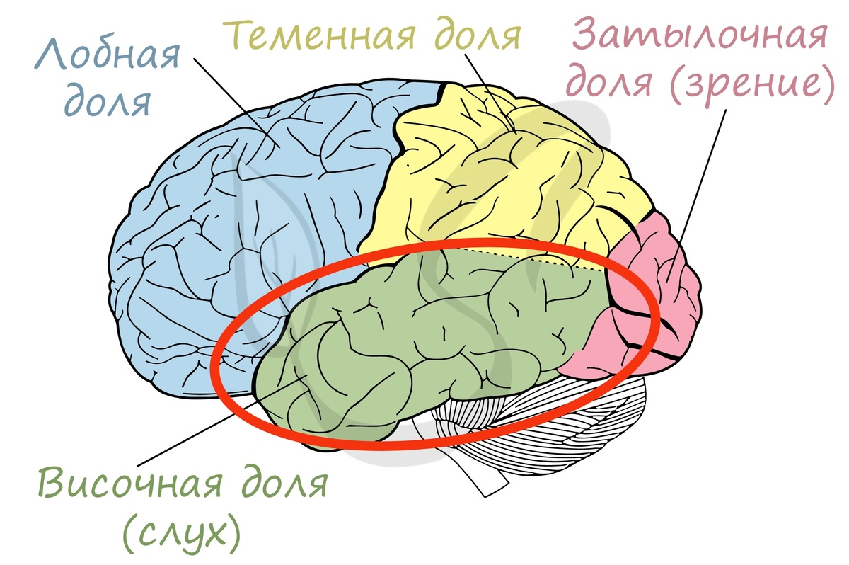 Картинка взята из интернета 