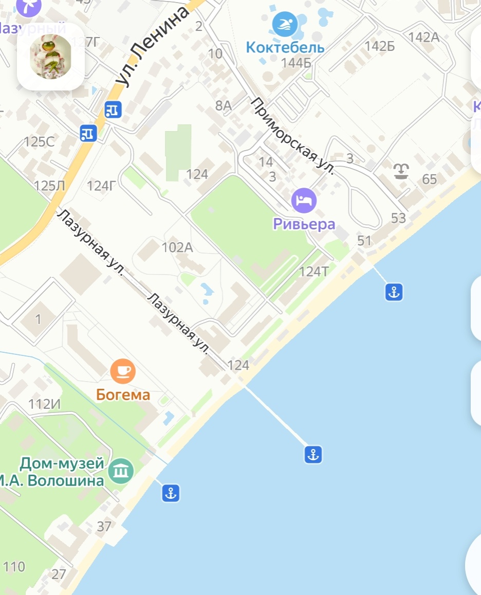 Карта Коктебеля из Яндекса.