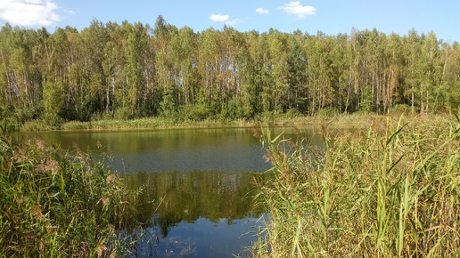 Россия - родина моя . Театральная экспозиция , часть II .