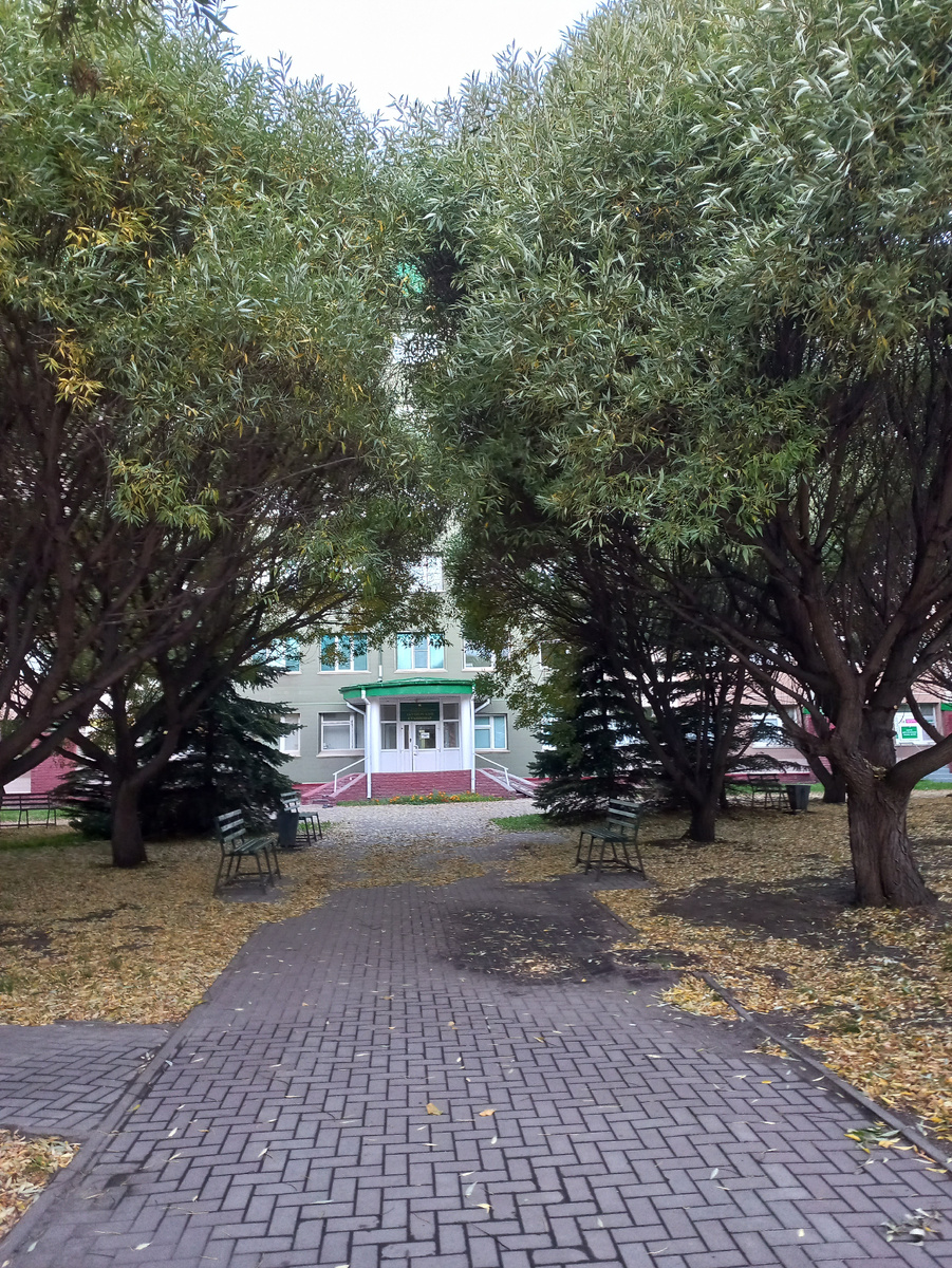Мой роддом, служебный вход. Фото свежайшее, утреннее.