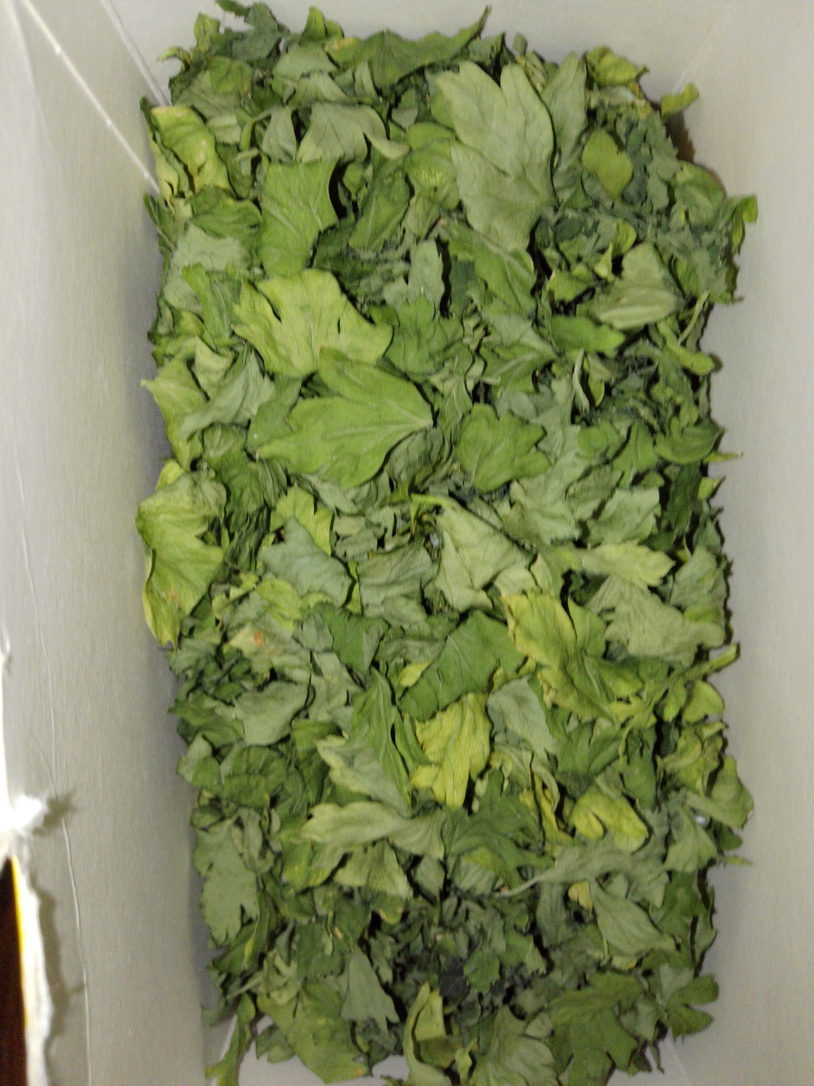 Сушёная петрушка.