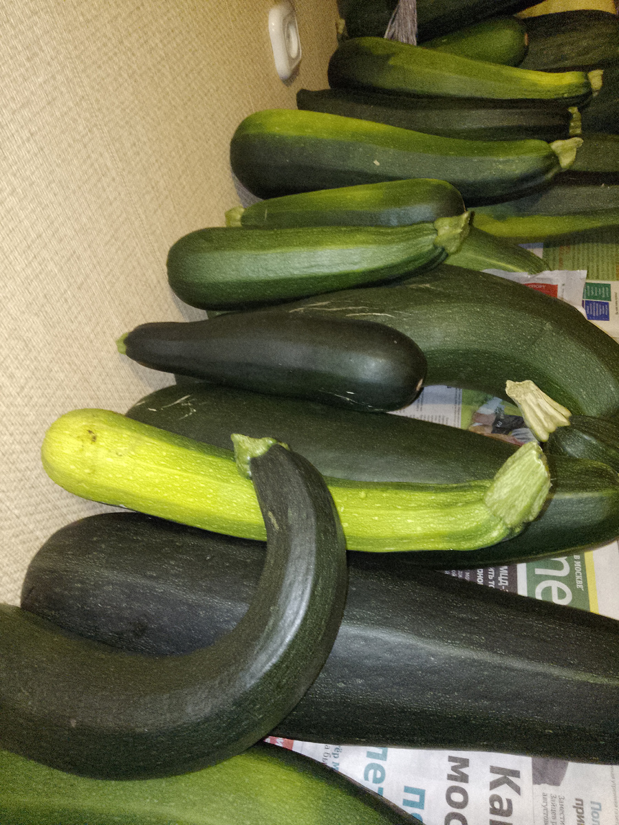 Это лишь в коридоре, ещё остались на даче, всё увезти не удалось. 