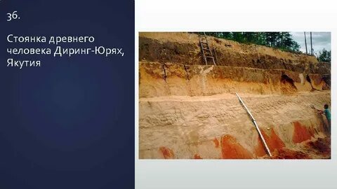 Фото взято из открытого доступа Сети и принадлежит хозяевам.