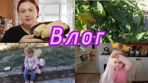 Скачать видео: ВЛОГ🤔//МОЙ ДОХОД НА ДЗЕН🔥//МОЙ ШОК В ШОКЕ , НУ КАК ТАК МОЖНО?!🤬//УЙДУ ЖИТЬ В ЛЕС🥺//НЕ МОЙ ДЕНЬ😔//ТАРЕЛОЧКИ ЗА ДЕНЬ🌶//