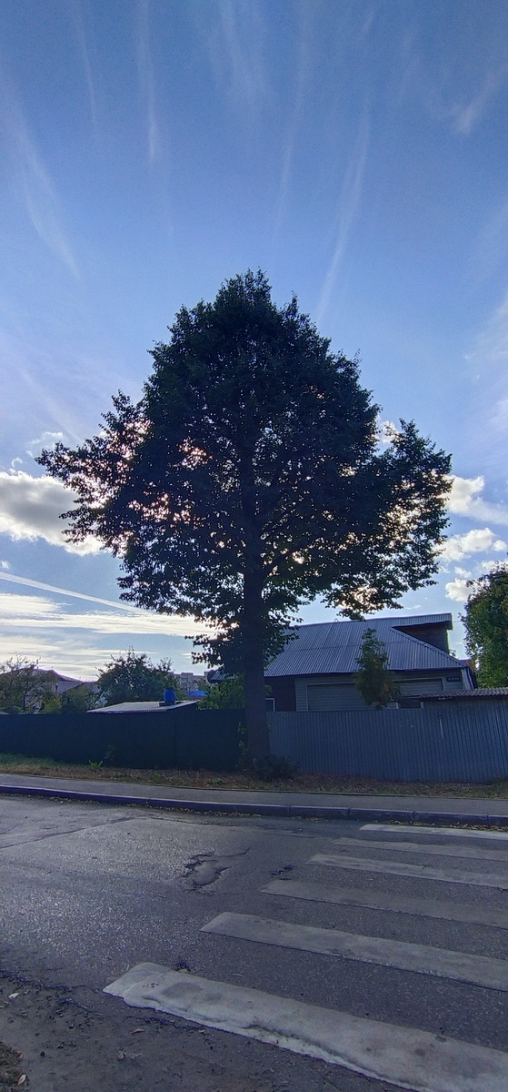 Личное фото