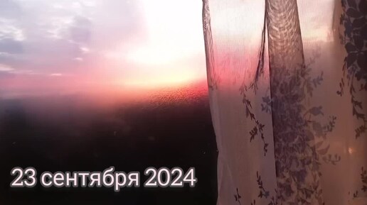 23 сентября 2024. Околомедицинский разговор.