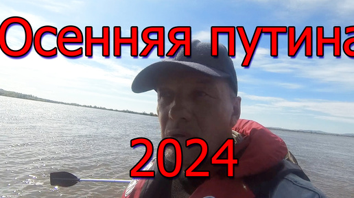 Осенняя путина 2024. Поход за грибами 🍄🐬