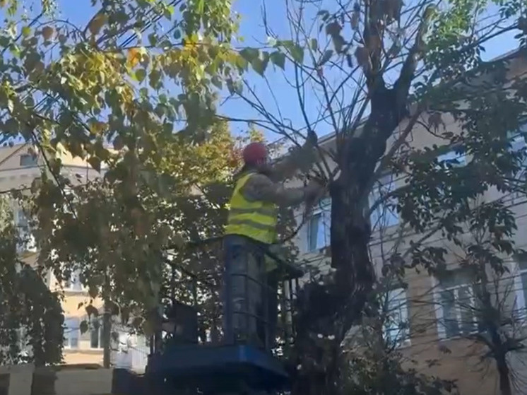     Фото: управление городского хозяйства