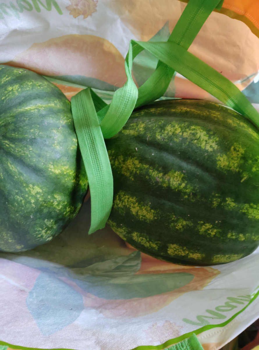 Вот они родненькие.