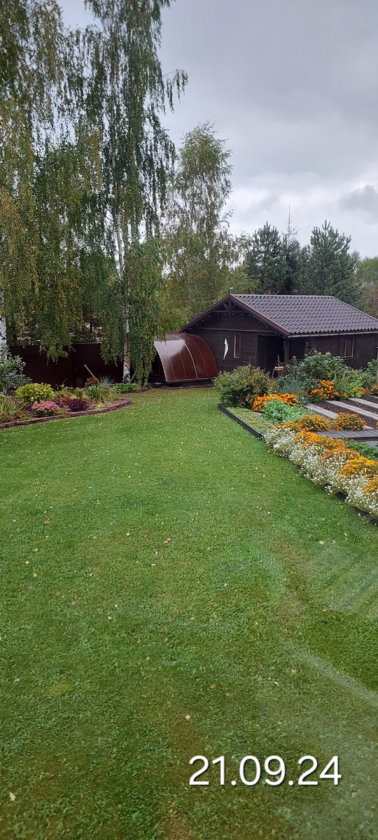 Субботнее утро было хмурым, сырым, холодным, но зелёным. Почти.