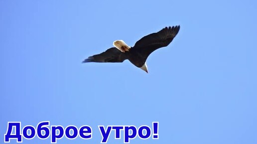 Доброе утро!