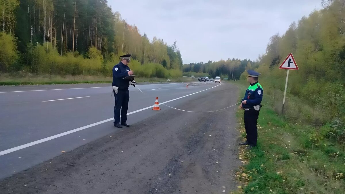     Источник: ГИБДД по Свердловской области