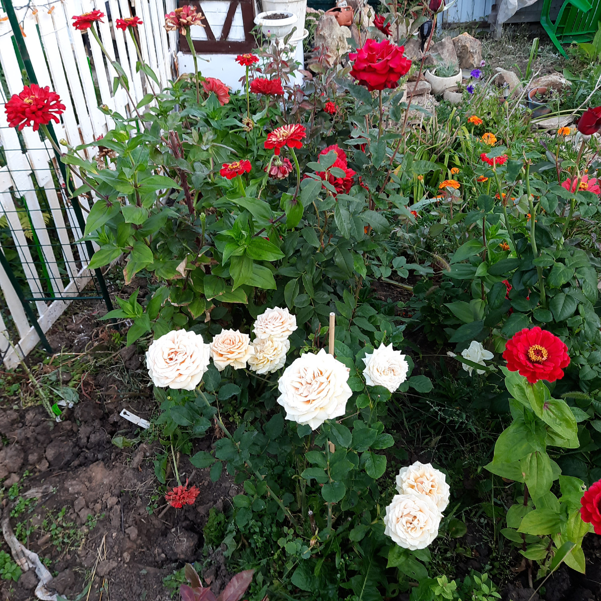 А так и не скажешь)