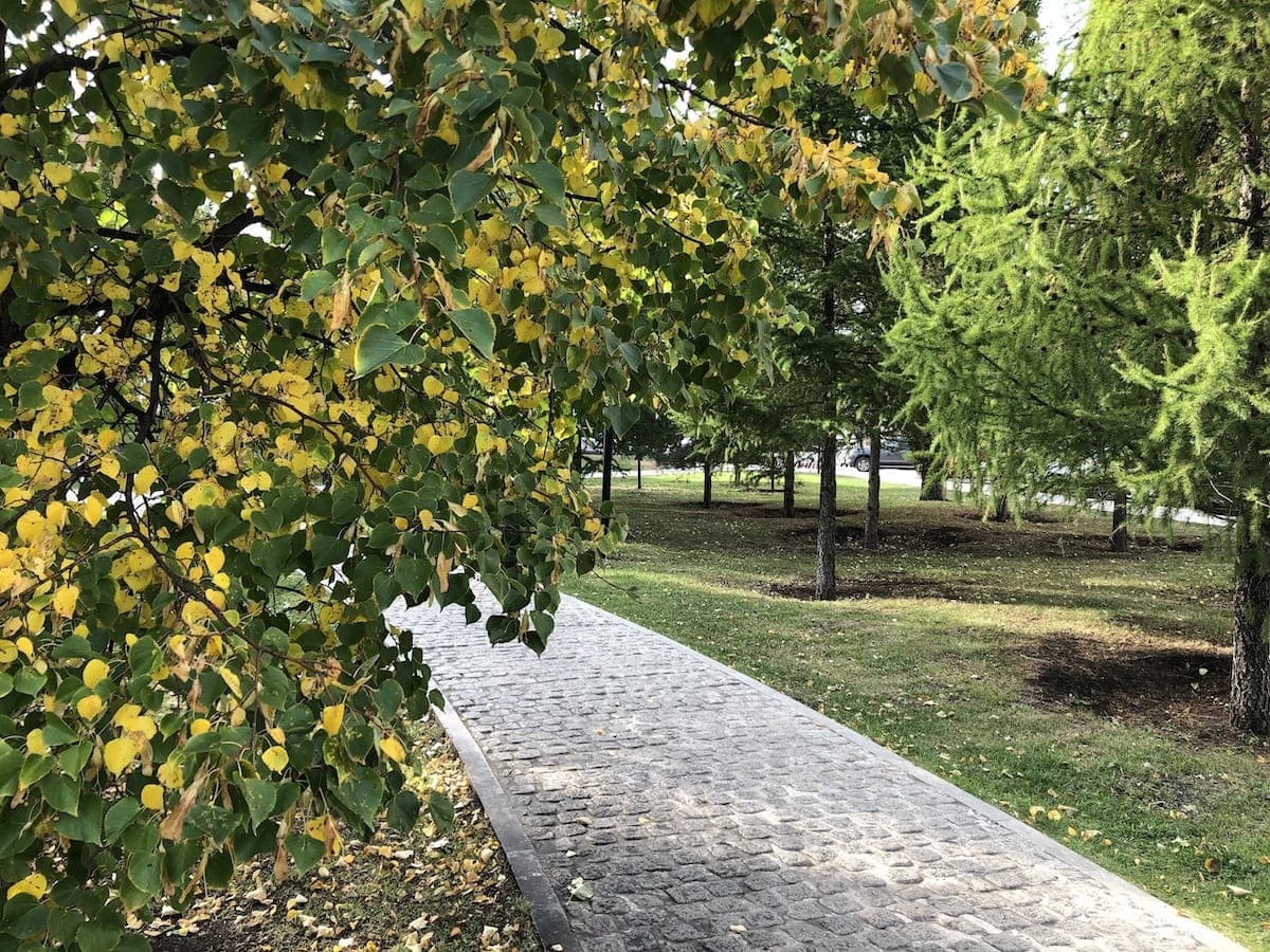 Фото: UfacityNews.ru