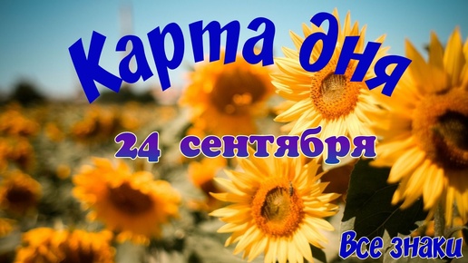 Карта дня🍀24 сентября🌞 Пасьянс. Тайм-код в описании🦢