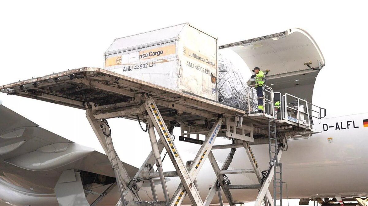 В Казахстан привезли амурских тигров © Photo : Пресс-служба министерства экологии и природных ресурсов Казахстана