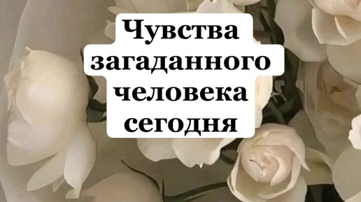 Про чувства загаданного человека сегодня❤️таро расклад с вариантами❤️