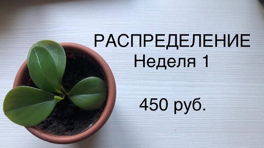 ПЕРВОЕ РАСПРЕДЕЛЕНИЕ ИЗ КОНВЕРТОВ В КОПИЛКУ. Дополнительный доход 450 руб.