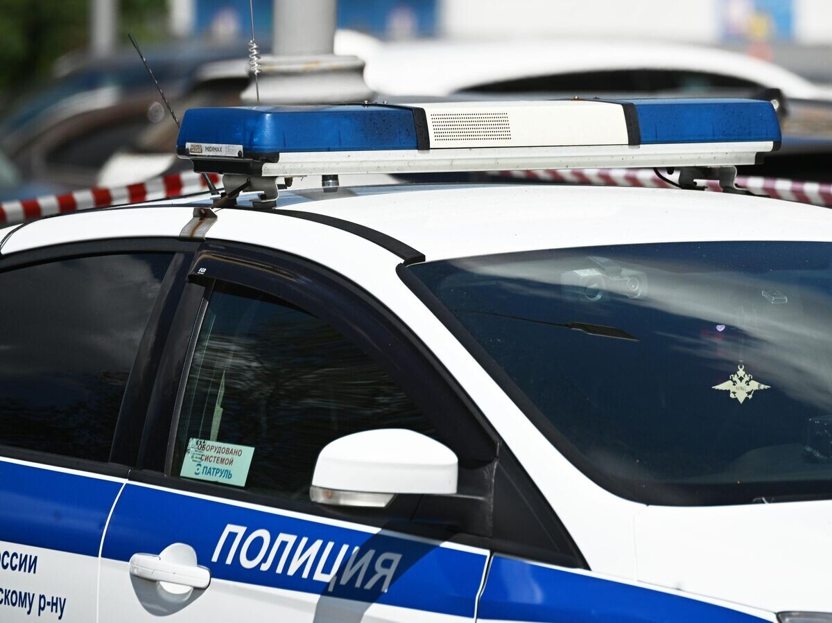    Автомобиль полиции© РИА Новости / Сергей Бобылев