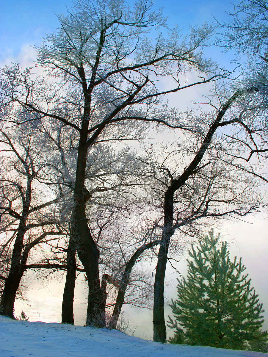 Фотография, стихотворение Василия Глуцкого