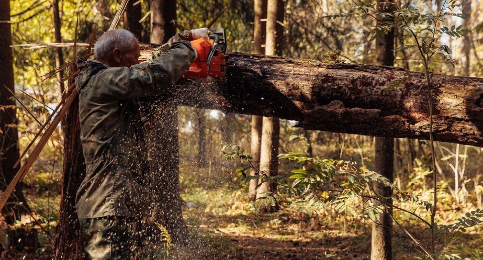    Медиа-центр Орехово-Зуевского городского округа Московской области