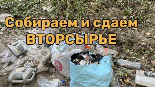 Горы вторсырья вдоль лесных дорог