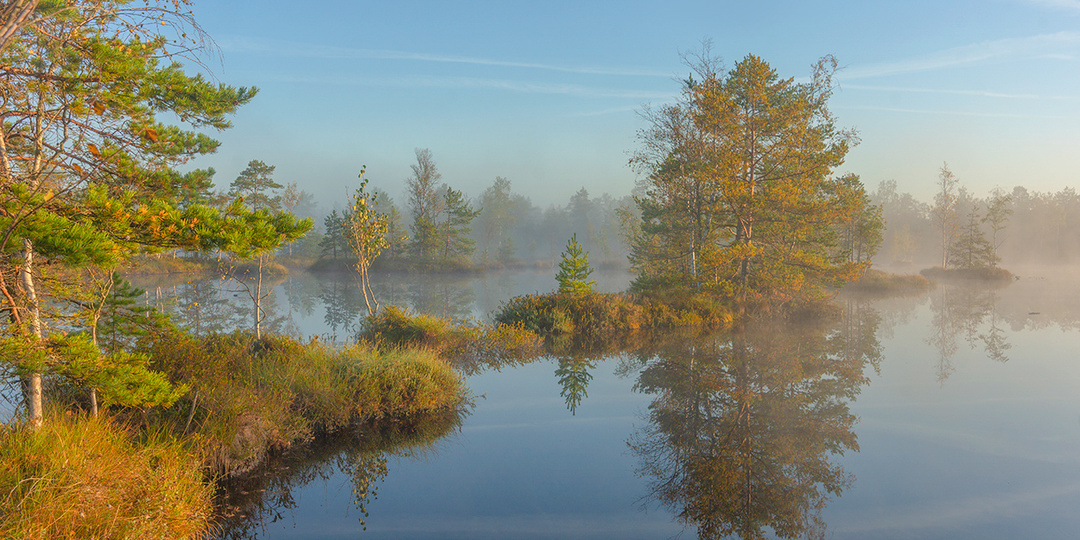 Сентябрьский свежачок