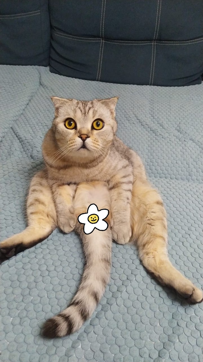 Хулиган Томми