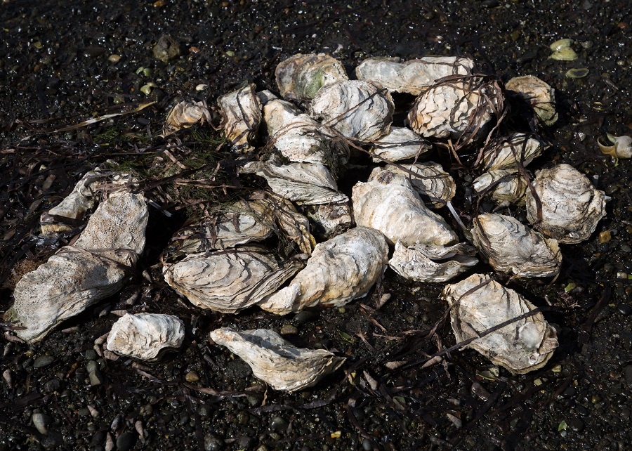 Фото: Марина Круглякова/ТАСС