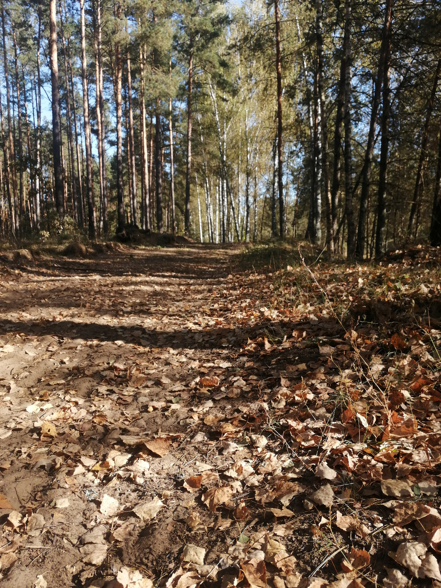 Фото автора на бегу. 