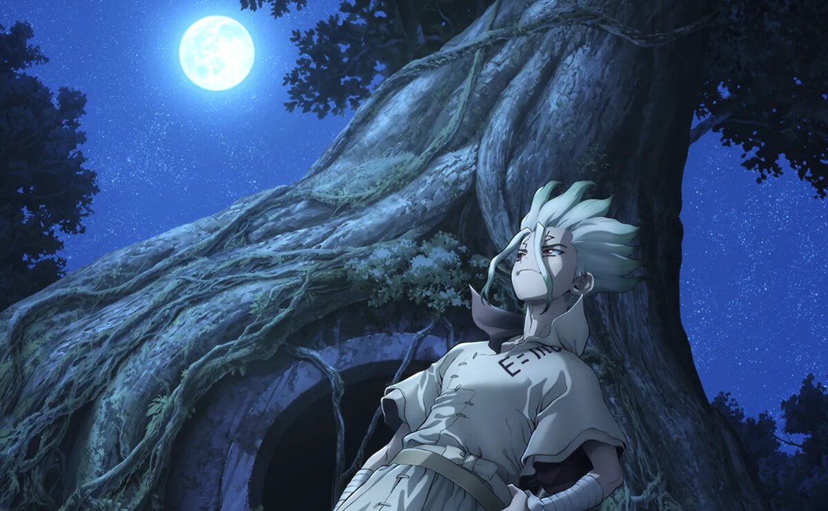 Постер аниме «Доктор Стоун»   📷