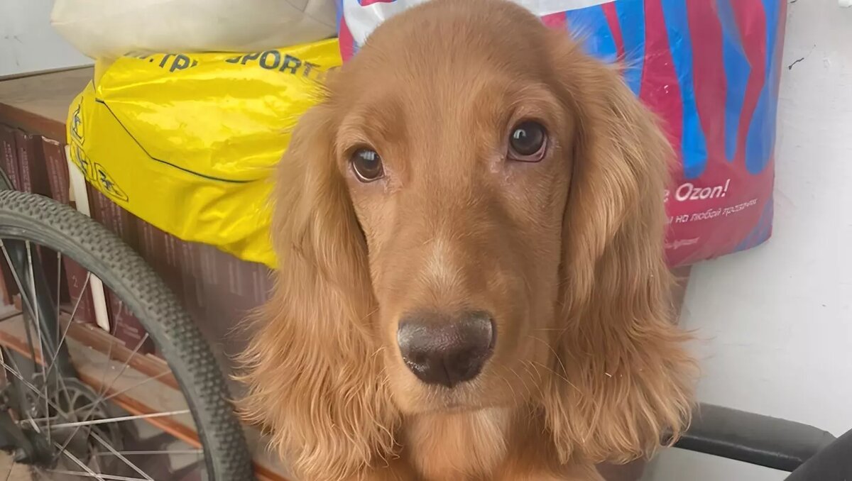     Источник: Татьяна Танина