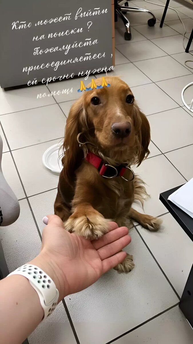     Источник: Татьяна Танина