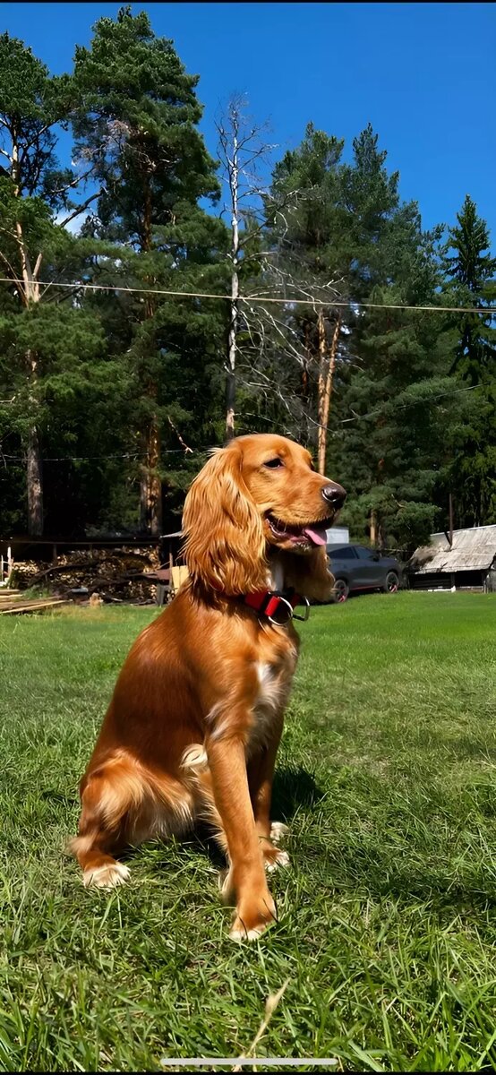     Источник: Татьяна Танина