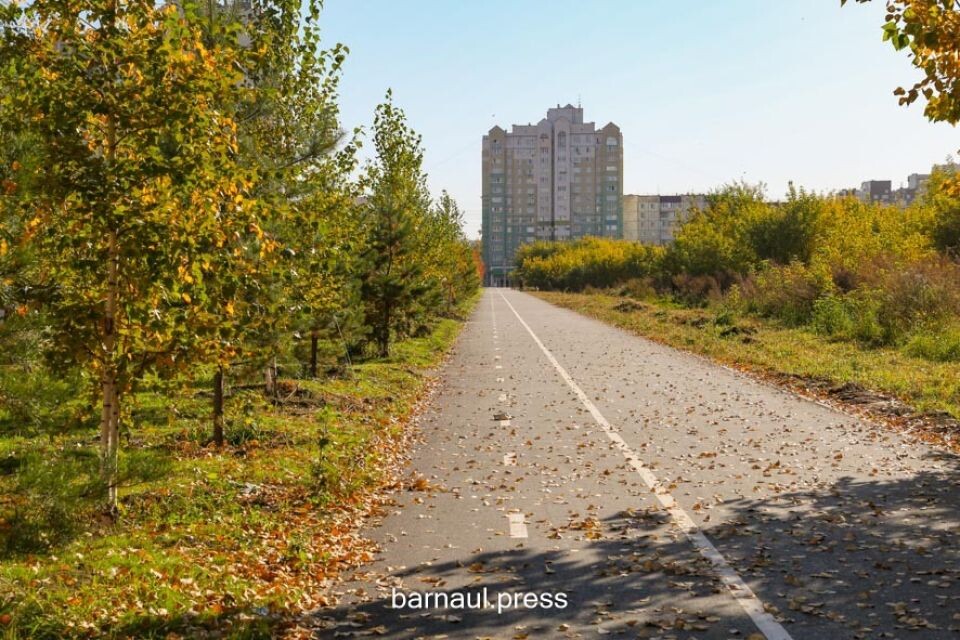    Улица 280-летия Барнаула. Источник: Barnaul.org