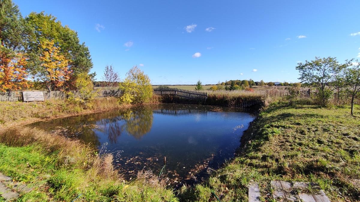 Деревня Орловка, противопожарный водоем в осеннем обрамлении