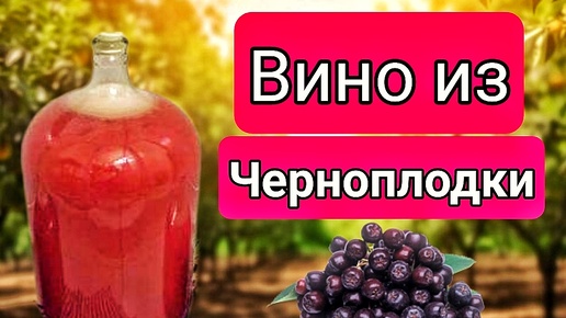 ДОМАШНЕЕ ВИНО ИЗ ЧЕРНОПЛОДНОЙ РЯБИНЫ. Простейший рецепт вкусного Напитка.