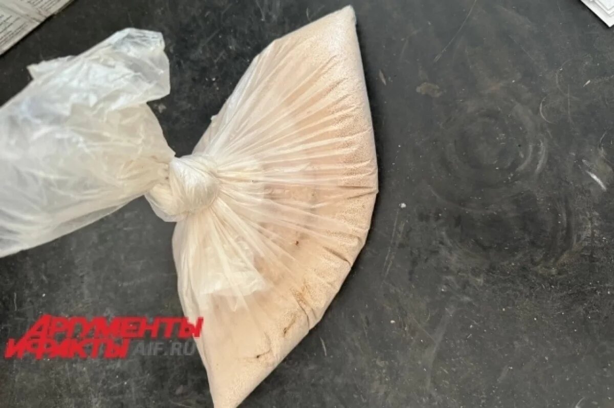    В доме семьи нашли пакет с неизвестным веществом.