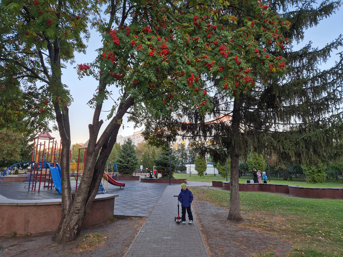 Бульвар Энтузиастов,  Набережные Челны 