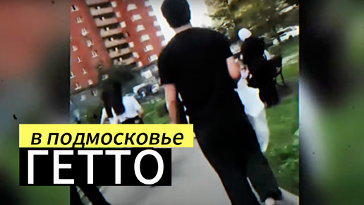 Download Video: МУЖИК ВЫШЕЛ НА ПРОГУЛКУ В ПОДМОСКОВЬЕ И ОБАЛДЕЛ...