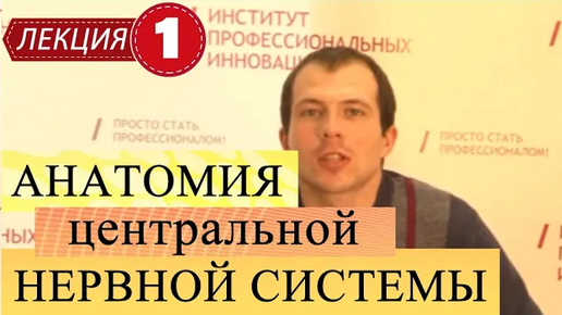 Tải video: Анатомия центральной нервной системы. Лекция 1. Введение в предмет.