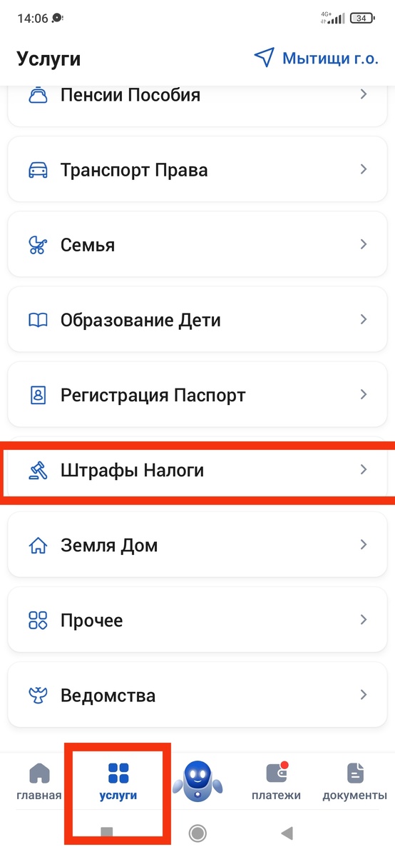 Приложение Госуслуги