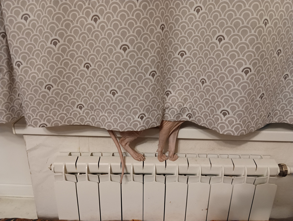 Сбои рассматриваются как аварийную ситуацию.  Фото: Фото: ФедералПресс / Александр Калинин